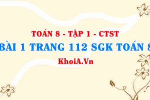 Bài 1 trang 112 SGK Toán 8 Tập 1 Chân trời sáng tạo